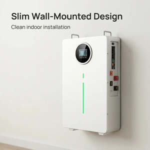 Wall <b>Mounted</b> LiFePO4 <b>Battery</b> 51.2V 100Ah 5.12kWh Home Energy Storage Solar ESS LCD CAN RS485 - Product Image 6