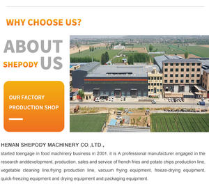 Shepody Machine à éplucher les pommes de terre automatique à petite échelle Machine à emballer les chips de pommes de terre commerciale - Product Image 5