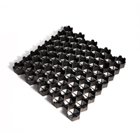 Grille de gazon HDPE pour toit, jardin, parking, vert, compressif et porteur