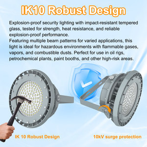 Lámpara a Prueba de Explosiones LED Bbier para Áreas Peligrosas, Aleación de Aluminio ATEX, 250W, Clasificación IP66, 5000K, 100-277V - Product Image 5