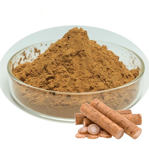 Высококачественный экстракт корня лопуха пищевого класса, порошок экстракта корня лопуха, порошок экстракта Arctium Lappa - Product Image 2