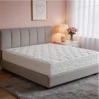 Matelas à ressorts ensachés Jiabaijia durable, certifié OEM ODM, vente en gros à prix abordable, anti-pression pour chambre à coucher