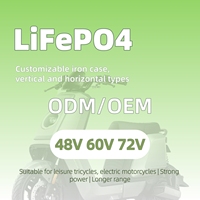 Batterie cylindrique LiFePO4 60V 52Ah 30Ah 40Ah 50Ah 60Ah 70Ah pour moto électrique, scooter et vélo électrique avec protection BMS intelligente, 4000 cycles