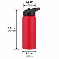 Bouteille d'eau portable personnalisée de 500 ml en acier inoxydable 304 à double paroi isolée sous vide, écologique, avec paille et poignée pour le sport et la gym