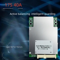 BMS intelligent FN 10S 11S 12S 13S 14S 15S 16S 17S 20S 21S 24S 40A 50A 60A 80A BT Balance Board BMS Lifepo4 17S 48V Batterie au lithium