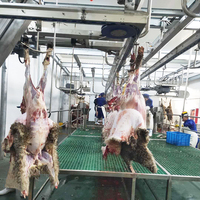 Ligne complète d'abattage de bétail en acier inoxydable SUS304, équipement de traitement automatique pour abattoir de bovins avec solution clé en main