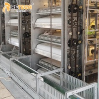 Équipement de cage avicole automatique à 2 niveaux de type H pour l'élevage de poulets de chair avec système de contrôle environnemental