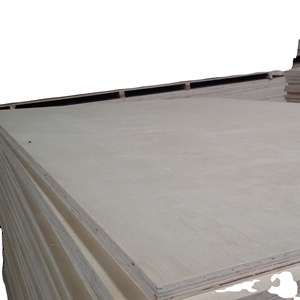 Pannello di compensato di <span class=keywords><strong>betulla</strong></span> naturale 12mm 5x10 dalla fabbrica di Linyi Chanta - Product Image 2