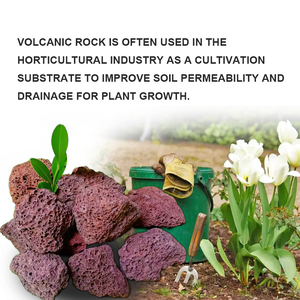 Fornitura diretta dalla fabbrica terreno da giardino in pietra vulcanica per la coltivazione succulenta e il trattamento delle acque reflue filtro per la categoria di prodotti in basalto - Product Image 6