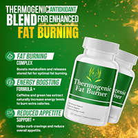 OEM ODM, capsules thermogéniques pour brûleurs de graisse avec feuille de thé vert, extrait de Garcinia Cambogia, capsules amincissantes pour le métabolisme ACV