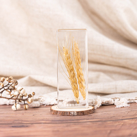 Artisanat en résine, spécimens botaniques en résine, graines de plantes en résine, artisanat en résine, spécimens scientifiques et pédagogiques, ornements en cristal, phytologie, riz séché