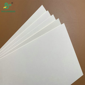 Papier kraft imperméable <span class=keywords><strong>enduit</strong></span> de PE simple/double face 290 g/m² 350 g/m² pour bols à nouilles et à soupe - Product Image 1