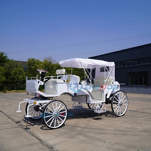 Simple White Electric Sightseeing Carriage/customized Electric Sightseeing Carriage Sells Well - Product Image 4
