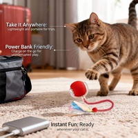 Animal Chien Accessoires Interactif Mouvement Automatique Électrique Rechargement Roulant Chat Balle Jouets à mâcher avec corde