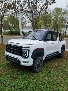 2023 nouveau modèle de voiture électrique de haute qualité 4x4, pick-up électrique à Double cabine avec batterie au plomb/batterie au Lithium - Product Image 2