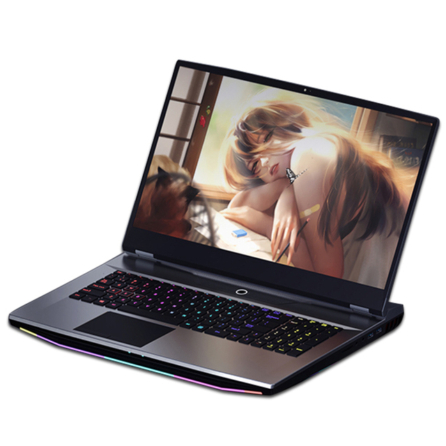 High-Performance Intel Core I7-10750H 64Gb Ram Gtx1650 17.3 "Full Hd Screen Ips With Hd Camera High-Speed Gaming Laptop Computer