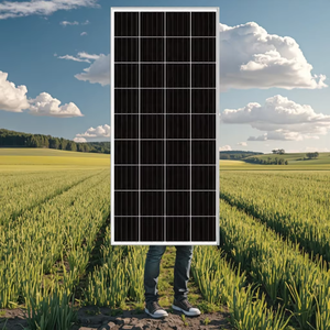 Panel Solar Monocristalino de 315W con Potencia Máxima de 320W Módulo Fotovoltaico PERC de Media Celda con Tecnología N-Type y Cubierta Frontal de Vidrio, 560W Máx. 600W - Product Image 1