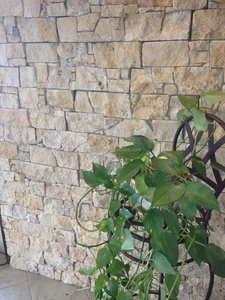 Realstone hệ thống ledgestone hiện đại bên ngoài trang trí Veneer Sheets antacid Chống xói mòn nuôi cấy fieldstone tự nhiên - Product Image 6