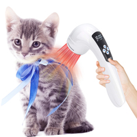 Appareil laser froid haute puissance 810 nm essentiel pour la famille, certifié CE, léger et portable, soulage les douleurs musculaires, la sciatique et les blessures sportives