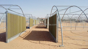 Invernadero Tipo Túnel de un Solo Tramo, Resistente a la Arena y a la Intemperie, para Granjas al Aire Libre - Product Image 3