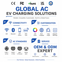 Chargeur EV portable 7 kW GB/T 32A 220V monophasé à charge rapide pour Tesla BYD Li Nio Xpeng Véhicule électrique