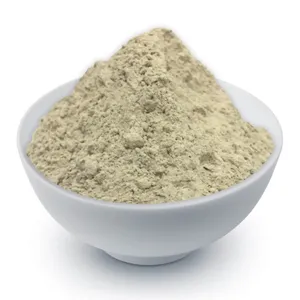 FST Biotec Großhandel Seamoss Powder Bulk reines Sea Moss Raw Powder
