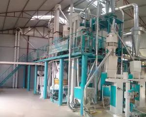 Automatic Successful Project 30t/24h Maize Mill Machine Corn Maize Flour Milling Machine In Africa