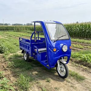 Triciclo Elettrico Personalizzato 60V Best Seller con Display LCD, Triciclo <span class=keywords><strong>a</strong></span> 3 Ruote Motorizzato 60V con Video - Product Image 5