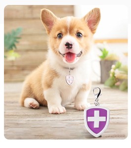 Etiqueta de perro de aleación de Zinc cruzada creativa, suministros para mascotas, etiqueta colgante, forma de escudo de Metal para gatos, etiqueta de identidad para mascotas, puede logotipo DIY - Product Image 3