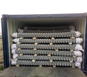 50*50mm 60*60mm 70*70mm Mesh Galvanized PVC Coated Chain Link Fence/playground Hook <b>Flower</b> Net - Product Image 4