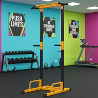 Station de musculation multifonctionnelle CHENGMO SPORTS, prix d'usine, qualité supérieure, barre de traction double assistance pour tractions et dips, robuste