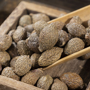 Semillas Secas Naturales de Sterculia Lychnophora de Alta Calidad Directo de Fábrica, Material Vegetal Puro, Suministro a Granel para Suplementos - Product Image 3