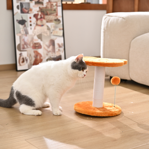 Mini poste rascador <span class=keywords><strong>para</strong></span> gatos con cuerda de algodón, árbol <span class=keywords><strong>para</strong></span> gatos de peluche al por mayor - Product Image 4