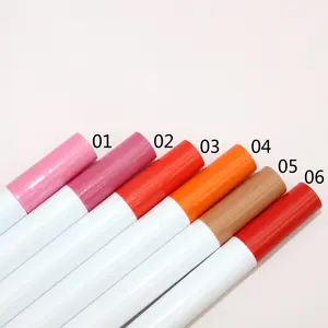 Multifunctional lipsticks professional no logo waterproof 6 in 1 liquid matte lipstick private label