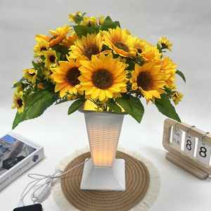 फूलों की व्यवस्था के लिए एलईडी लाइट-अप <span class=keywords><strong>vase</strong></span>-usb-संचालित आयताकार रेहोमोबोइड न्यूनतम रचनात्मक प्लास्टिक प्लांटर - Product Image 3