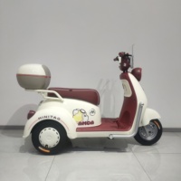 Scooter électrique de mobilité à 3 roues pour adultes Trike électrique de passager pour personnes âgées Prix bon marché Trike Batterie au plomb
