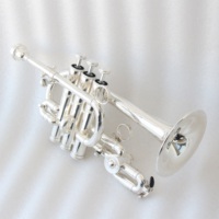 Wholesale Trumpet Professional Good Price Economical Trumpet Instrument Silver Plated Bb/A Piccolo Trumpet
