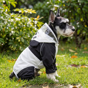 Imperméable pour animaux de compagnie à quatre pattes, transparent, imperméable, en forme de cœur, avec capuche, pour petits chiens et chats - Product Image 6