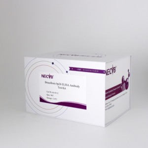Wholesale Brucella bp26 Protein ELISA Antibody Detection <strong>Kit</strong> for Veterinary Diagnosis, High Sensitivity &amp; Specificity - Product Image 3