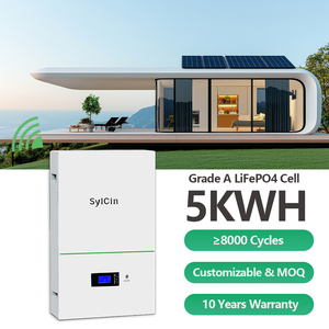 Sistema de Almacenamiento de Energía Solar para Hogar y Comercio Sylcin, Montado en Pared, con Batería de 48V 51.2V 5kWh 10kWh y BMS - Product Image 4