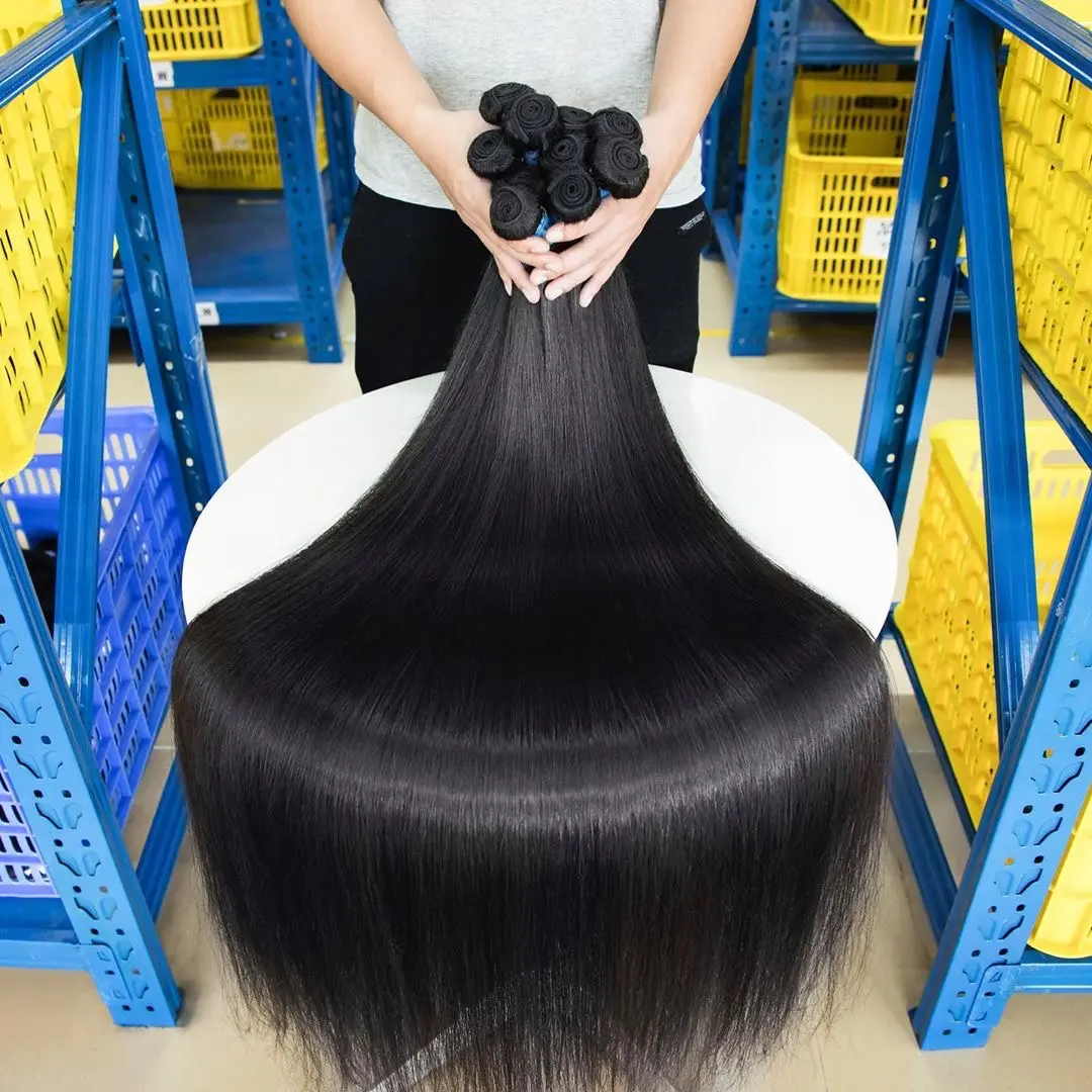 Swaziland의 10a 급료 브라질 머리 제조 회사, 비 처녀 비 remy 머리에 있는 싼 단단한 씨실 브라질 머리