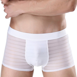 Fabrication Fourniture Slips et boxeurs <span class=keywords><strong>sexy</strong></span> érotiques transparents pour hommes Boxer en maille respirante avec gros pénis bombé - Product Image 3