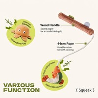 Jouet interactif pour chat en peluche réaliste avec module de chant intégré, stimule l'instinct de chasse pour l'intérieur