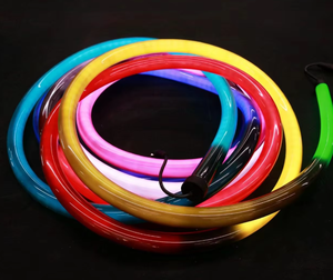 LED Neon Flex Remote Control RGB Silicone IP65 Rated Flexible Home Theater Decoration <b>Light</b> Certified - Product Image 4
