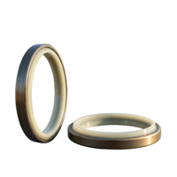 Joint d'étanchéité en métal DKBI à double lèvre pour protection de tige de vérin hydraulique