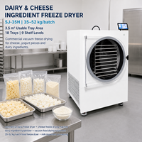 Machine de lyophilisation de confiseries SJ-35H, capacité de 35-52 kg par lot, pour la production de bonbons gélifiés aux fruits et la transformation d'ingrédients de desserts