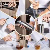 Ensemble de shaker à cocktails de luxe en acier inoxydable réutilisable de 19 pièces avec support, doseur de 15/30 ml, cuillère à mélanger, pour usage en bar