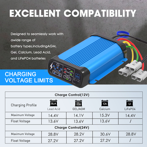 Cargador de Corriente Continua de 40 A con Aleación de Aluminio para Baterías de Plomo-Ácido AGM de 12 V/24 V, Gel, Calcio y Litio - Product Image 4