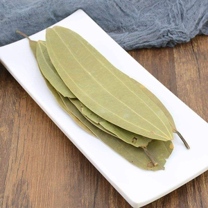 أوراق شجر الزيتون المجففة الصينية بالجملة من المصنع، صالحة للأكل وبسعر جيد - Product Image 6