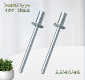 Gb12615 वाटरप्रूफ 1/8 "<span class=keywords><strong>3</strong></span>.2 मिमी व्यास 4.8 बंद अंत अंधा रिवेट्स 4 मिमी जस्ता प्लेटेड स्टील रिवेट्स पॉप रिबन सील - Product Image 1